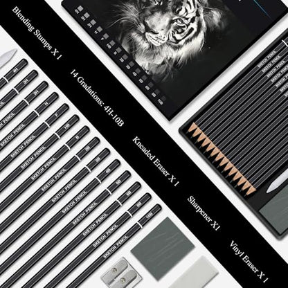 Aenir Sketch Pencils for Drawing, Drawing Pencils Set of 18, 10B–4H Graphite Pencil, Vinyl Eraser, Kneaded Eraser, Sharpener, Blending Stump,Sketch Set for Artists, Art Supplies. - size: 18 Pcs Graphite Pencils Set