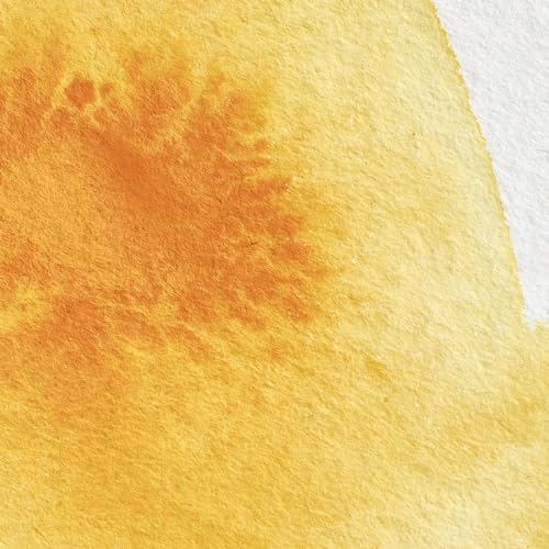Winsor & Newton Professional Watercolor, 5ml Tube, Cadmium Yellow Deep | Unrivalled Transparency, Single Pigment Vibrant Colors, Archival Permanence, Heritage Watercolors, Finest Pigments - color: Cadmium Yellow Deep, style: 0.17-oz Tube