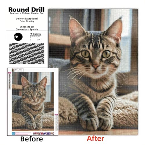 Cute Cat Diamond Art Kits for Adults, Full Drill DIY Diamond Painting Kits | Relaxing Stress Relief Craft, Sparkling Paint by Diamond for Cat Lovers, Arts Home Wall Decor Gift, 11.8 x 15.8 Inch - color: KM952-1