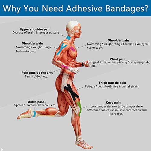 Self Adherent Cohesive Bandages Wrap 12 Count 2" x 5 Yards, Medical Tape, Adhesive Flexible Breathable First Aid Non Woven Rolls, Stretch Athletic, Ankle Sprains & Swelling, Sports… - color: Beige, size: 12 Count (Pack of 1)