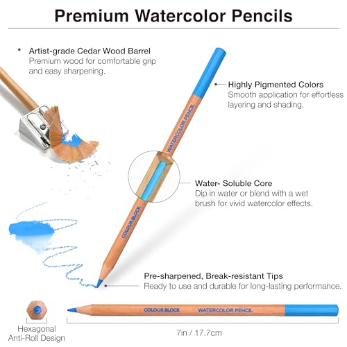 COLOUR BLOCK 12 Color, Watercolor Pencils,Art Supplies,Professionals- Hexagonal Handles and Quality Lead, Drawing Pencils Ideal for Details,Aluminum Box