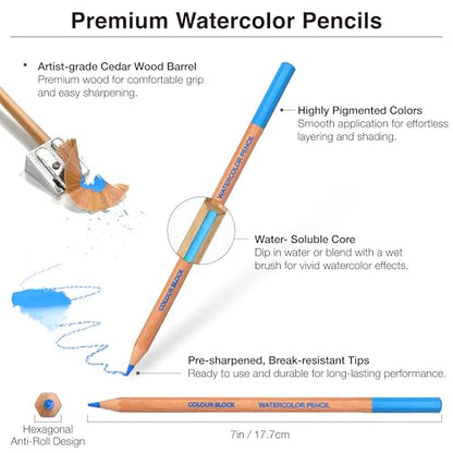 COLOUR BLOCK 12 Color, Watercolor Pencils,Art Supplies,Professionals- Hexagonal Handles and Quality Lead, Drawing Pencils Ideal for Details,Aluminum Box