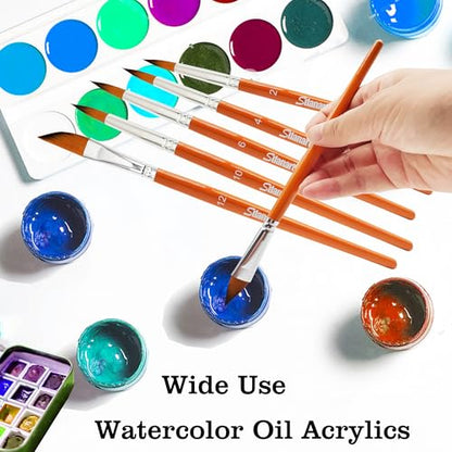Sdanart Watercolor Brushes Professional,6 PCS Watercolor Paint Brushes