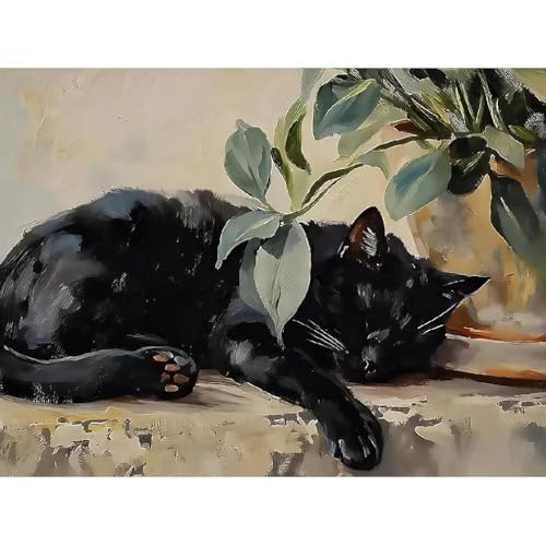 Canrichshop Sleeping Cat Paint by Number Kit for Adults,DIY Black Cat Acrylic Painting Kit Without Frame,Easy Adult Paint-by-Number Kits on Canvas Decor 16x20inch - color: MT22727