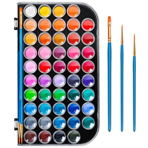 48 Color Solid Watercolor Paint Set with 3 Wooden Brushes for Adults Kids