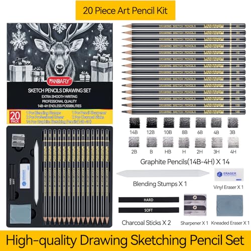 PANDAFLY Drawing Sketching Pencil Set, 20 Piece, 4H-14B Graphite Pencils | Pro Art Pencil Kit with Charcoal Sticks, Erasers, Sharpener, Blending Stump, Artist Pencils For Beginners & Pro Artists