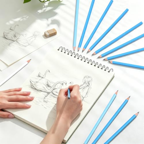 12 Graphite Pencils Professional Sketching Drawing Set,No Duplicates | 14B(soft) to H(hard),Charcoal Pencils,Art Supplies for Sketching Shading Blending, Gifts for Artists Adults Beginners - color: Black