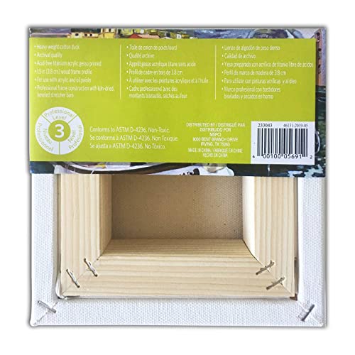 Artist's Loft Level 3 Gallery Wrapped Heavy Duty Canvas - size: 6 x 6