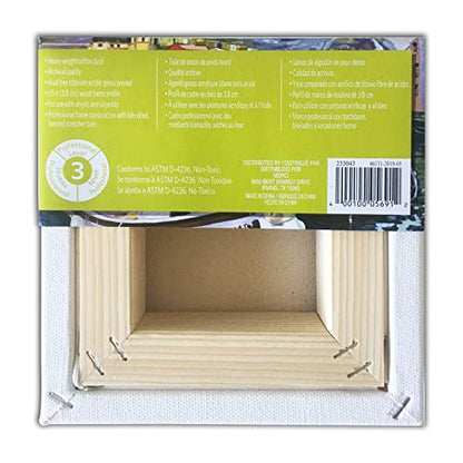 Artist's Loft Level 3 Gallery Wrapped Heavy Duty Canvas - size: 6 x 6