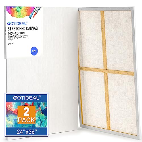GOTIDEAL Stretched Canvases for Painting, 24x36 Inch Set of 2 - color: White, size: 24"x36"