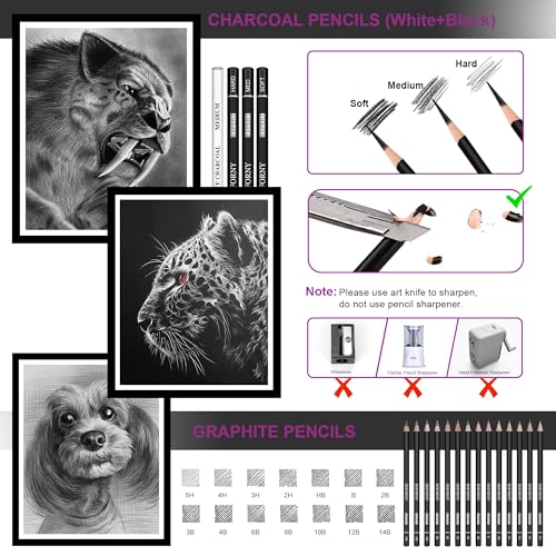 HIFORNY 28 PCS Sketching Drawing Pencil Set,Sketch Pencils Art Supplies with Graphite,Charcoal,Blending Tools,Accessories,Drawing Kit for Adults Artists in Canvas Roll Up Case