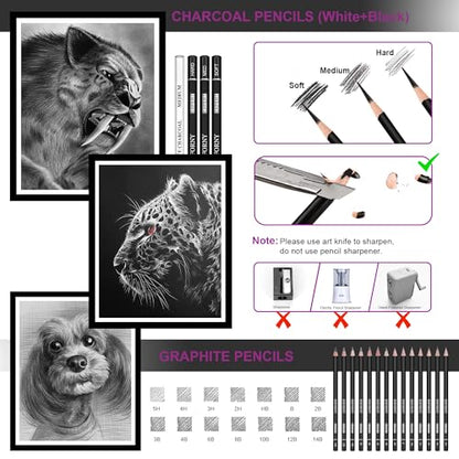 HIFORNY 28 PCS Sketching Drawing Pencil Set,Sketch Pencils Art Supplies with Graphite,Charcoal,Blending Tools,Accessories,Drawing Kit for Adults Artists in Canvas Roll Up Case