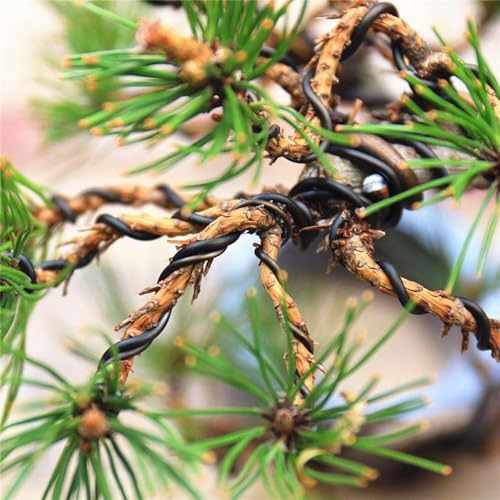 12 Gauge Aluminum Wire, 105 Feet 2mm Bendable Metal Craft Wire for Sculpting, Armature, Jewelry Making, Floral Making, Doll Making, Modelling, Crafting, Bonsai Training (Black) - color: Black