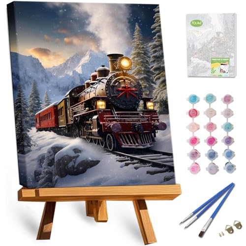 TOCARE Framed Paint by Numbers Kit for Adults, 12x16Inch Train Paint by Numbers with Frame, Snow Mountains Adult Paint by Number Framed Canvas Winter Nature Scenery(Without Easel) - color: TC-F-206