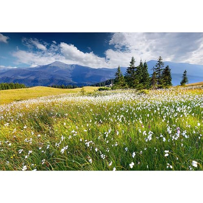 9x6ft Vinyl Summer Landscape Backdrops for Photography Background Blooming Flower Mountain Landscape Grass Field Vacation Holiday Party Backdrop Children Adults Portraits Photo Studio - size: 9x6ft