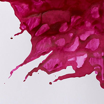 Winsor & Newton Drawing Ink, 14ml Bottle, Purple | Fast-drying, transparent & water-resistant; Outstanding Color Brilliance; Perfect for brush, dip pen, airbrush applications. - color: Purple, style: 14ml Bottle
