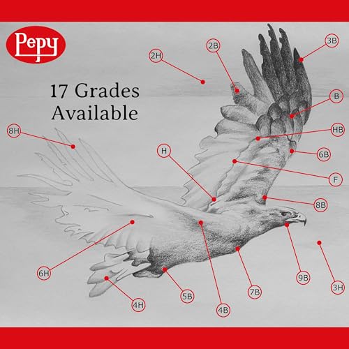 Pepy Graphite Professional Drawing Pencils - Set of 12 B Pre-Sharpened Black Lead Pencils; Perfect for Drawing, Sketching and Shading, Graphic and Fine Art - style: Set of 12 - B