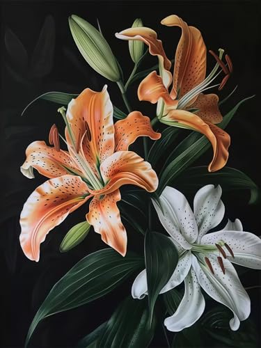 Diamond Art Kits for Adults, Featuring Flowers 5D Diamond Painting Kits - color: KM874-1