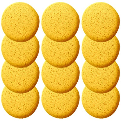 A Box of 12 Tack Sponges (Middle Hole) - color: 12 Middle Hole, size: Medium