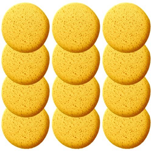 A Box of 12 Tack Sponges (Middle Hole) - color: 12 Middle Hole, size: Medium