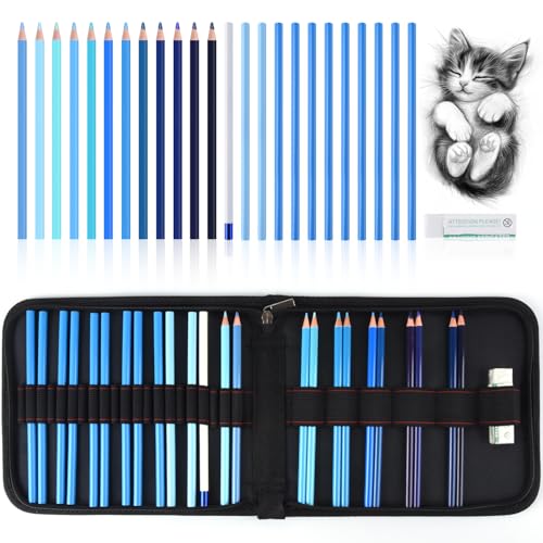 Professional Drawing Set,12 Colored Pencils,12 Graphite Pencils,Eraser,Case - color: Set-Blue