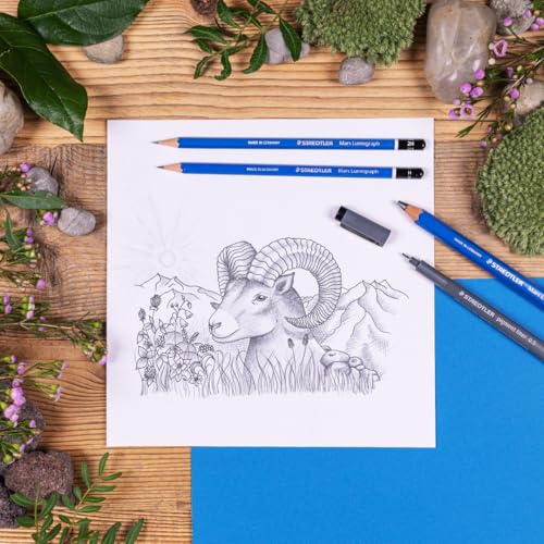 STAEDTLER Mars Lumograph 13pc Drawing Pencils & Eraser Set: 12 Hardness Grades 8B-2H, Mars Plastic Eraser, Pre-sharpened, Art Supplies for Drawing, Shading, Drafting & Illustrating, All Skill Levels - style: 12 Pack w Eraser