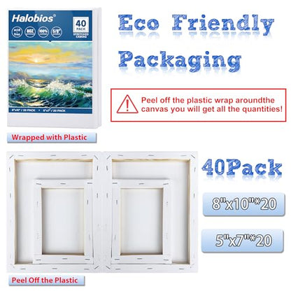Halobios Blank Canvas for Painting, Bulk Pack of 40-8x10 inches, 5x7inch(20 of Each), 100% Cotton, Primed, 5/8 Inch Profile of Super Value Canvas Pack for Acrylics, Oils & Other Painting Media - size: 40 Pack Mixed - 8×10IN 5×7IN