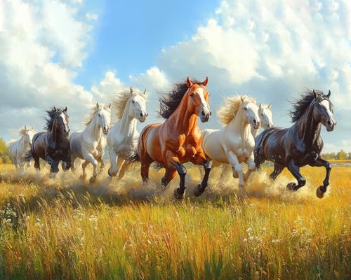 TUMOVO Adult Paint by Number Kits Wild Horse Herd DIY Relaxing Art Project | Horse Running Landscape Painting on Canvas with Acrylic Paints and 3 Brushes, Easy DIY Project for Art Lovers, 16x20 Inch - color: Horse