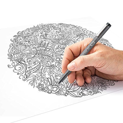 STAEDTLER Pigment Liner Bonus Sketch Set of 6 Liners for the Regular Price of 4(2 free), 308 SB6P - size: 6 Count (Pack of 1), style: Mixed set