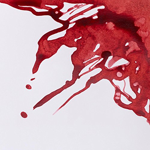 Winsor & Newton Drawing Ink, 14ml Bottle, Brick Red | Fast-drying, transparent & water-resistant; Outstanding Color Brilliance; Perfect for brush, dip pen, airbrush applications. - color: Brick Red, style: 14ml Bottle