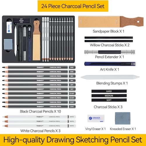 PANDAFLY Professional Charcoal Pencils Drawing Set, 24 Pcs | Black & White Charcoal Pencils for Drawing Sketching Shading Blending, Charcoal Drawing Set for Beginners & Pro Artists - color: Black, size: 1 Count (Pack of 24)