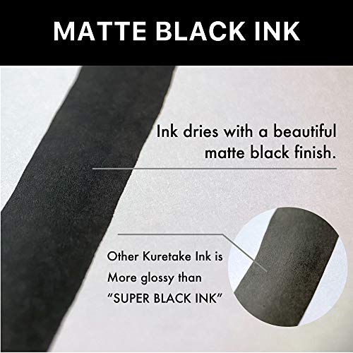 Kuretake Zig Special Black Ink 60ml, for dip Pen, Brush, Drawing, Calligraphy, Illustration, Lettering, for Professional, Artists, Manga, Made in Japan