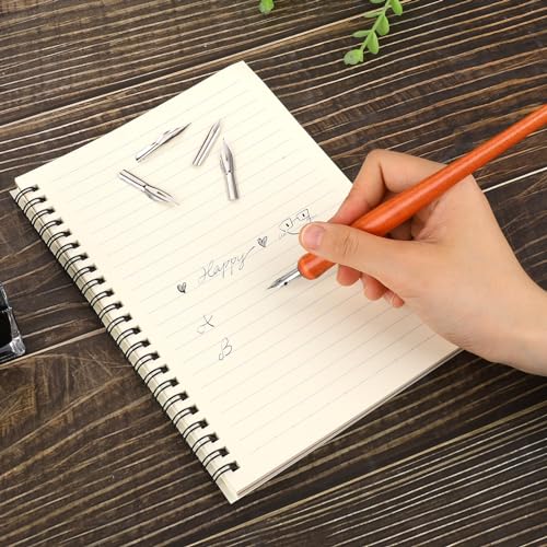 Piriuuo 14 Pcs Dip Pen Set Nib Pen Holder Comic Pen Nib Set G Pen Ink Nib Calligraphy Pen Nibs Wooden Drawing Pen Holder with Stainless Steel Pen Nibs Dip Pens for Writing, Painting, Signing