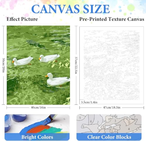 ZRIZQ Paint by Numbers Kit for Adults Beginner,Duck Summer,16x20 | Full set with rich paints,wooden brushes,rolled canvas.Calming,screen-free pastime.Beginner friendly.Just open and paint. - color: 16"X20"Rolled Canvas(Frameless)-Duck 2