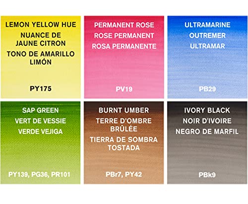 Winsor & Newton Cotman Watercolor Paint Set, 6 Colors, 8ml (0.27-oz) Tubes - style: 6 Tube Set 8ml