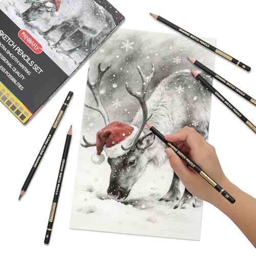 PANDAFLY Drawing Sketch Pencil Set, 16 Piece, 4H to 14B Graphite Pencils