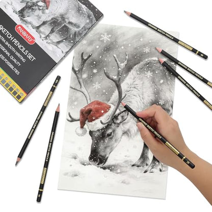PANDAFLY Drawing Sketch Pencil Set, 16 Piece, 4H to 14B Graphite Pencils