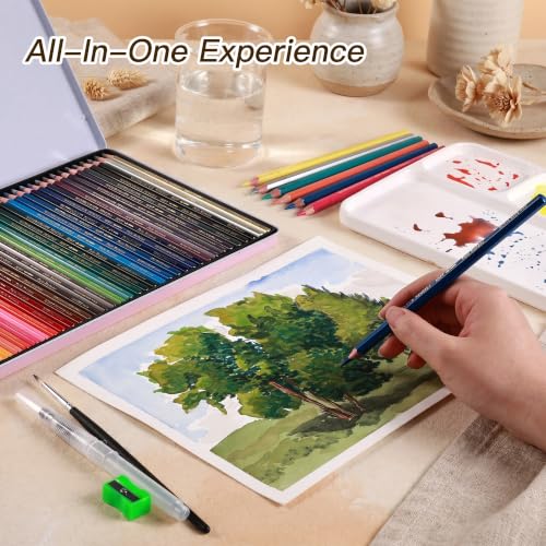 rubens 59 PCS Artist Watercolor Pencils Kit for Adult Drawing - size: 1 Count (Pack of 59)