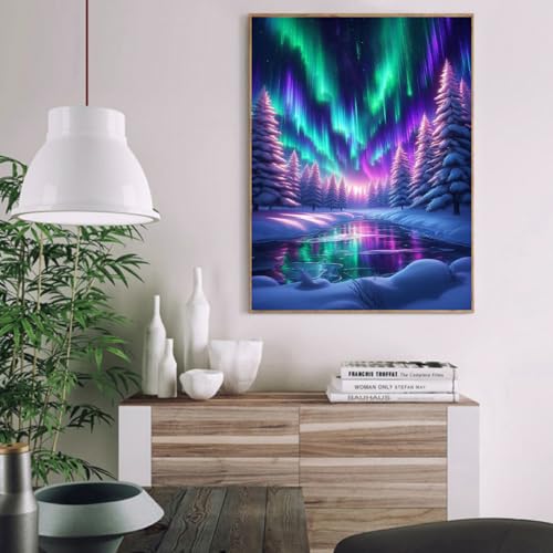 TCDZMYGS Aurora Paint by Numbers Kit for Adults Beginner,Landscape Adult Paint by Number Kits on Canvas Without Frame,DIY Acrylic Oil Painting by Numbers Kits for Home Wall Decor 12x16 inch - color: paint by number-aurora