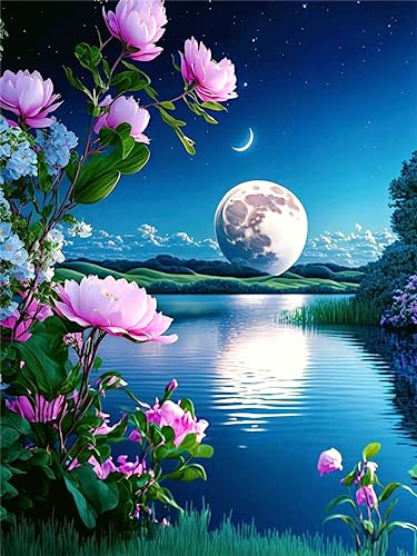 Yunnuo Moon Diamond Painting,Flower Diamond Art Kits for Adults,5D DIY Landscape Diamond Dots Gem Art Painting Kit, Paint with Diamonds Moonscape for Home and Office Wall Decor 12x16inch - color: E001-Landscape 30x40cm