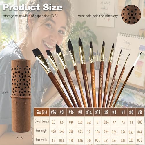 Watercolor Paint Brushes Professional, 11PCS Synthetic Squirrel Watercolor Brushes Set with Roller Case for Travel- Extended Point, Flat, Round Pointed, Cats Tongue, Dagger (11, Brown)
