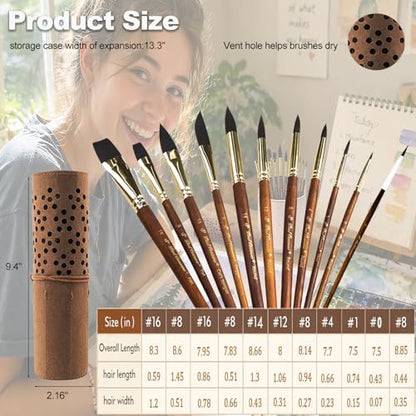 Watercolor Paint Brushes Professional, 11PCS Synthetic Squirrel Watercolor Brushes Set with Roller Case for Travel- Extended Point, Flat, Round Pointed, Cats Tongue, Dagger (11, Brown)