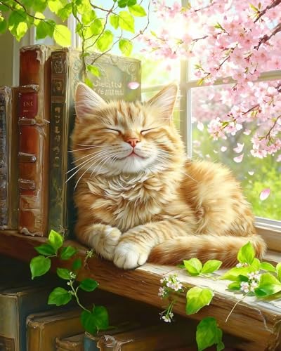 MIRCVSH Cat Paint by Numbers Kit for Adults on Canvas,Cat Sleeping on Windows Paint by Number Kits for Adult Beginners,Unframed Acrylic Oil Painting Art Kit Crafts for Home Wall Decor 16x20 Inch. - color: MT22590