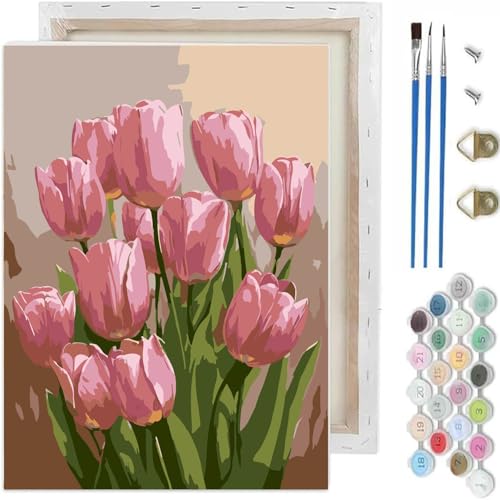 Paint by Numbers Kit for Adults,Tulip DIY Paint by Number With Frame - color: MT6402