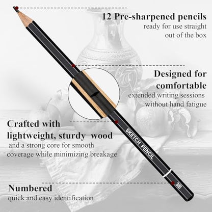 Aenir Drawing Pencils for Sketching, Set of 12 Sketch Pencils, 6B-4H | Art Supplies for Beginners & Artists: Art Pencils for Sketching Projects, Graphite Pencils for Drawing and Shading - size: 1 Count (Pack of 12)