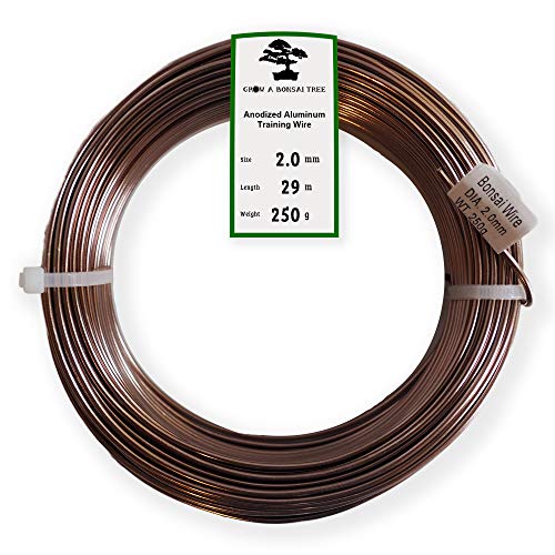 Anodized Aluminum 2.0mm Bonsai Training Wire 250g Large Roll (95 feet) - Choose Your Size and Color (2.0mm, Brown) - color: Brown, size: 2.0mm