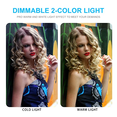 Photo Studio Light Box, 20"x20" Professional Photography Photo Light Box with 160 LEDs Lights & 4 Color Backgrounds for Product Picture Photography - size: 20 x 20 inches