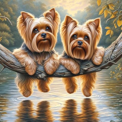 Diamond Painting Kits for Adults, Yorkshire Terrier Dog 5D Diamond Art Kits for Adults Beginner, DIY Full Round Drill Painting Dog Yorkie Diamond Art for Home Wall Decor 13.8x13.8 Inch - color: Cute Dog