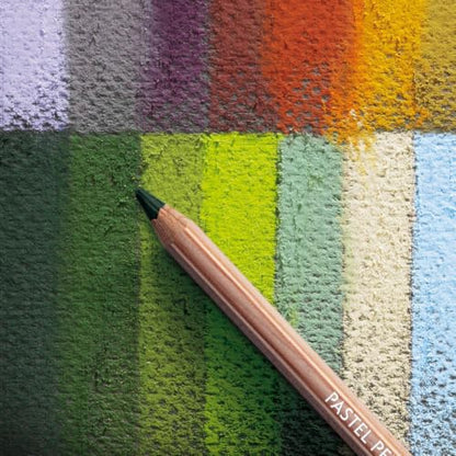 Caran D'ache Pastel Pencils - Pink White (788.581)