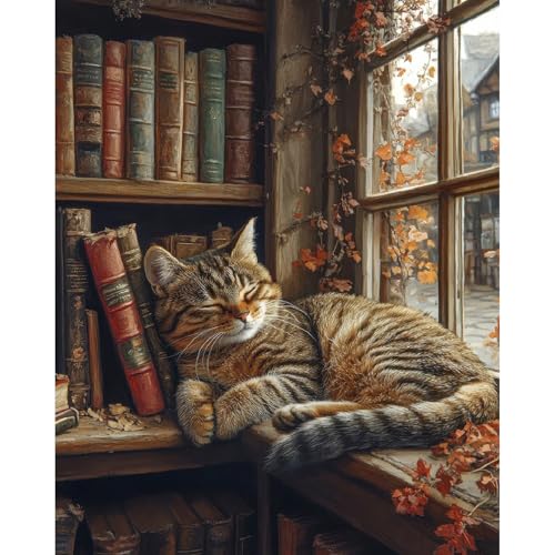 Clendo Sleeping Cat Paint by Numbers Kit for Adults - Bookshelf Paint by Numbers for Adults Beginner, DIY Acrylic EasyPainting by Number on Canvas Home Wall Decor 16”W x 20”L - color: MT20975